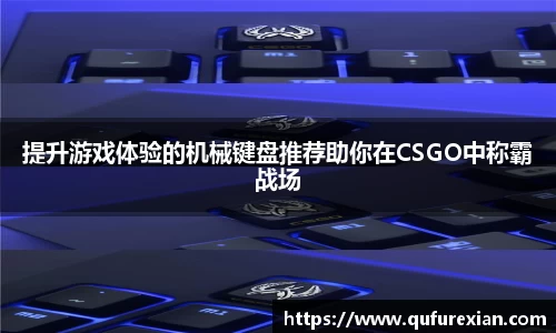 提升游戏体验的机械键盘推荐助你在CSGO中称霸战场