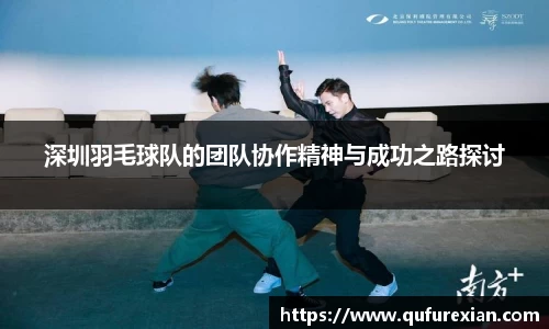 深圳羽毛球队的团队协作精神与成功之路探讨